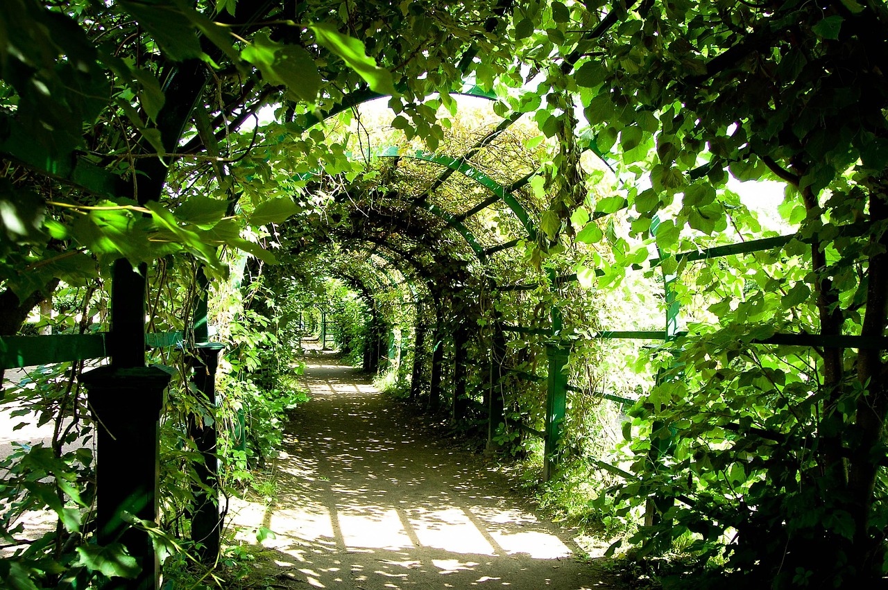 Mensen bouwen groene pergola voor privacy. Mensen bouwen groene pergola voor privacy.