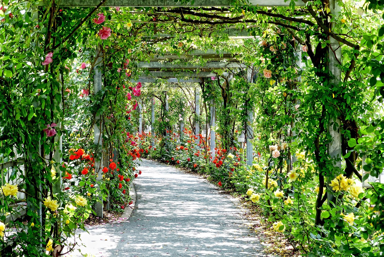 DIY pergola met groen dak en planten. DIY pergola met groen dak en planten.