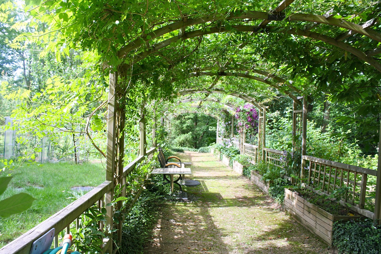 Groene plantendak op houten pergola. Groene plantendak op houten pergola.