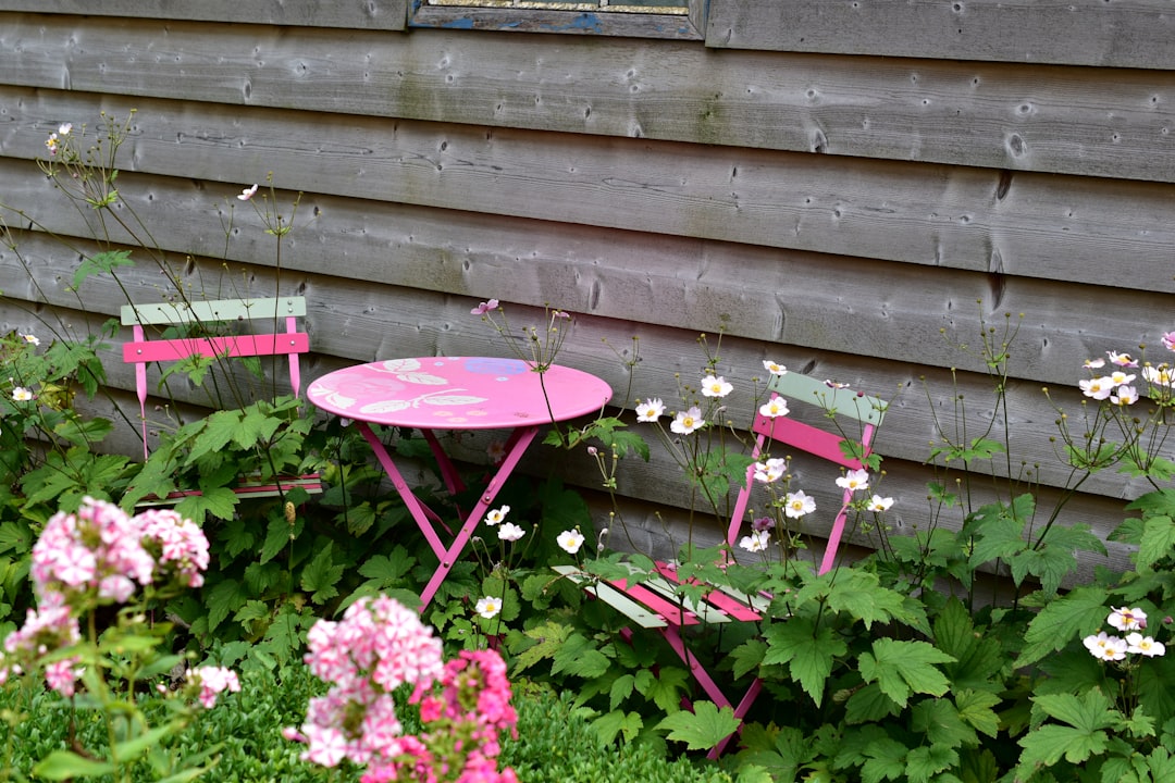 Fleurige zomertuin met kleurrijke bloemen. Fleurige zomertuin met kleurrijke bloemen.