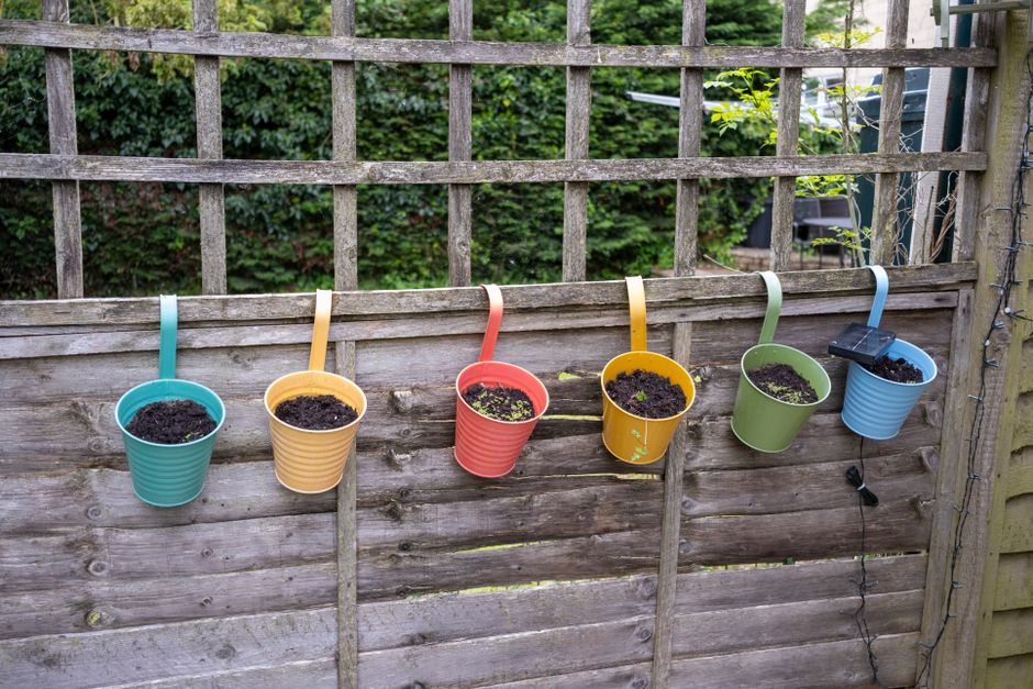 Moderne verticale tuin gemaakt van houten paletten. Moderne verticale tuin gemaakt van houten paletten.