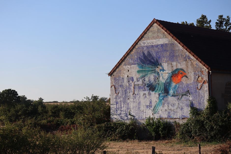 Herfstinterieur met majestueus paard fotobehang. Herfstinterieur met majestueus paard fotobehang.